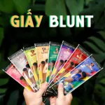 Menu giấy Blunt