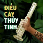 Menu Điếu Cày Thủy Tinh