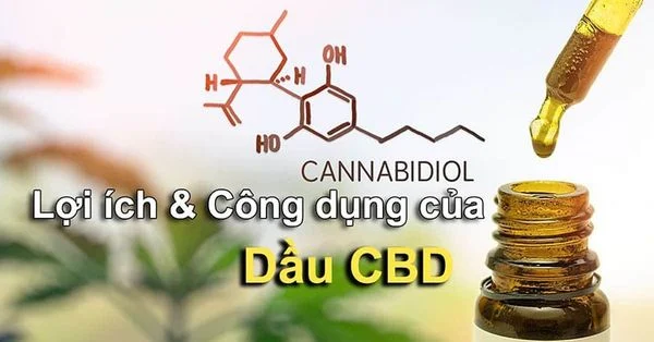 Lợi ích của CBD