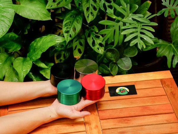 ban sao cua fdea1aab d205 4cc5 8cac 2844b0f9acb8 7140 0000064c38c8667c 97876a7ccec74a90851716dea00df01f grande 1