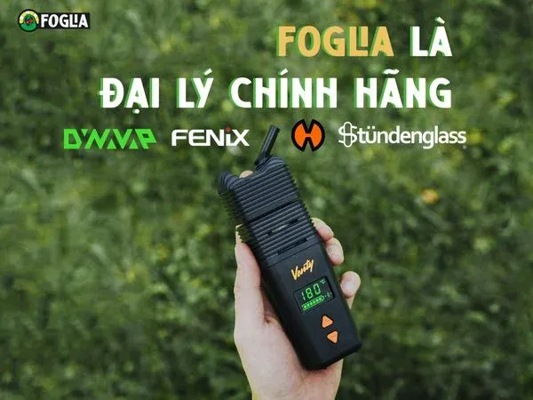 Foglia là đại lý chính hãng các thương hiệu lớn