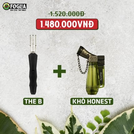 COMBO THE B + HONEST TORCH