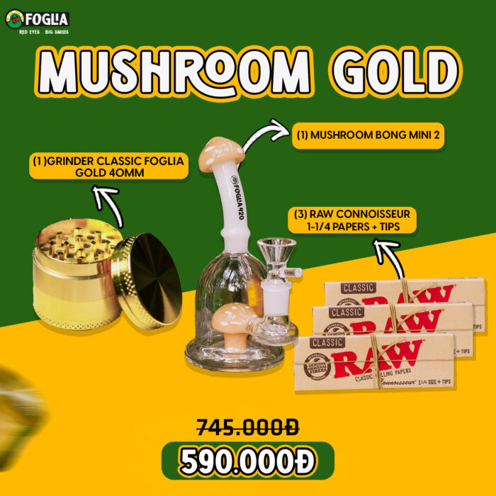 MUSHROOM GOLD copy