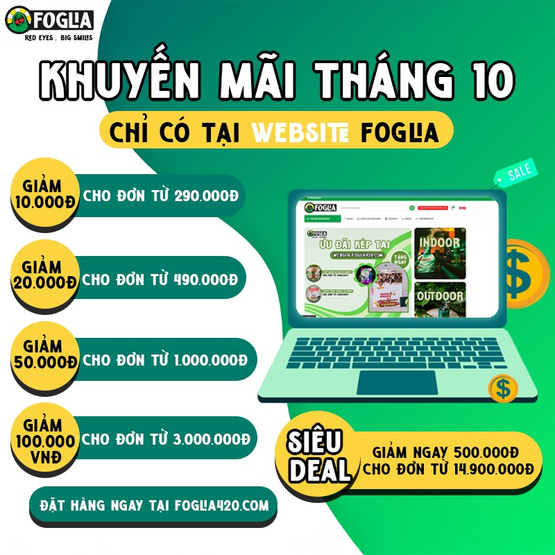 khuyen-mai-thhang-10