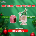 BEST SELLER – PINEAPPLE CHILL KIT
